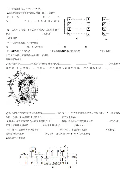 原核细胞与真核细胞习题
