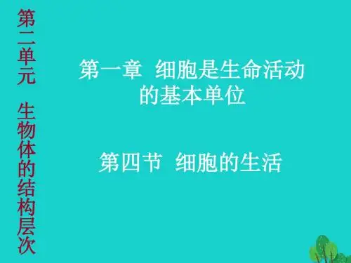 七年级生物上册 第二单元 第一章 第四节 细胞的生活课件 (