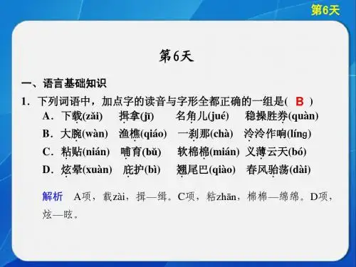第6天