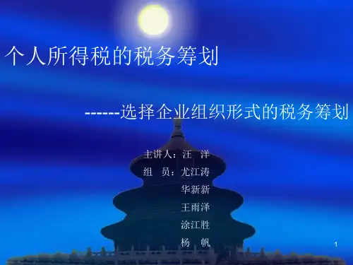 个人所得税的税务筹划ppt课件
