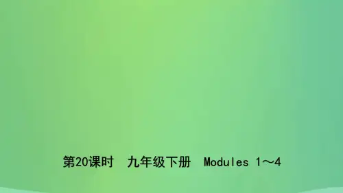 山东省德州市2019年中考英语总复习第20课时九下Modules1_4课件