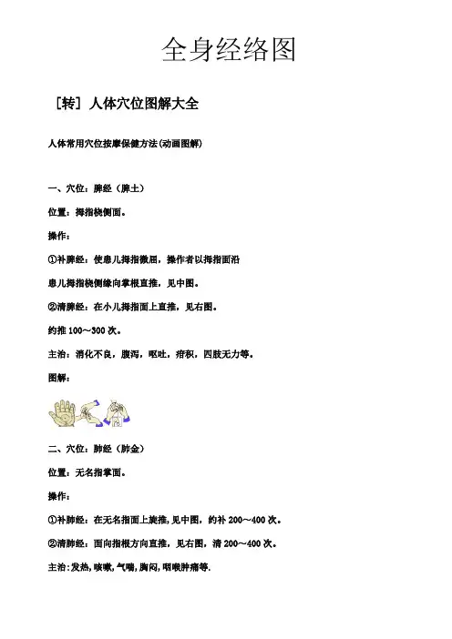 人体经络穴位大全
