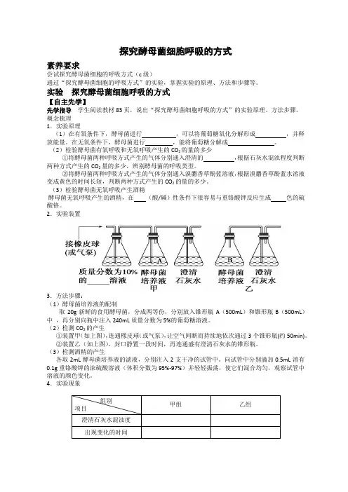 探究酵母菌细胞呼吸的方式
