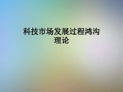 科技市场发展过程鸿沟理论