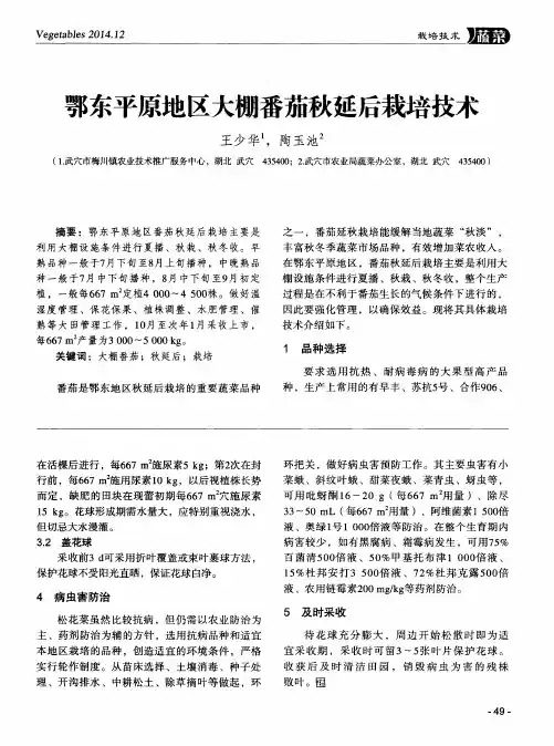鄂东平原地区大棚番茄秋延后栽培技术