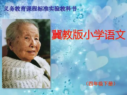 29.肥皂泡ppt