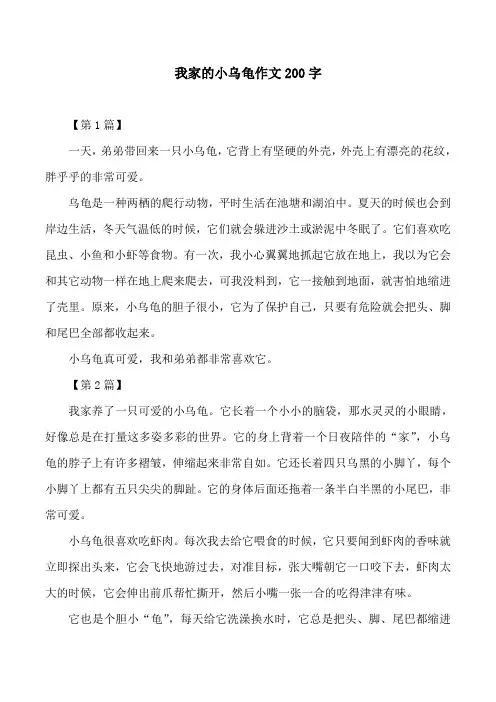 我家的小乌龟作文200字