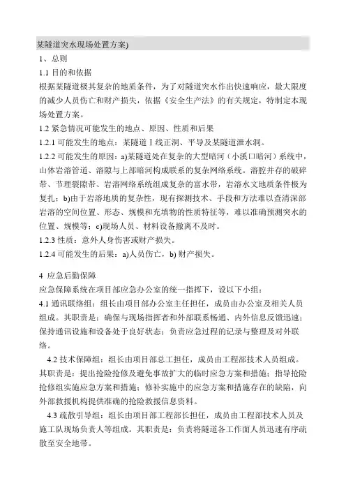 水害现场处置方案