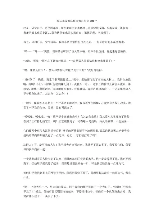 我从来没有这样害怕过作文800字