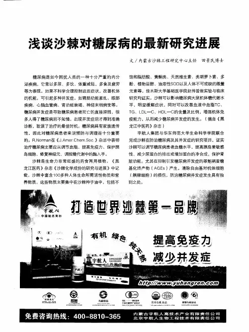 浅谈沙棘对糖尿病的最新研究进展