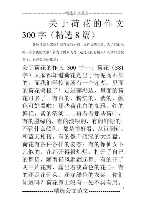 关于荷花的作文300字(精选8篇)