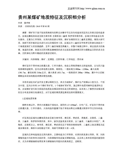 贵州某煤矿地质特征及沉积相分析