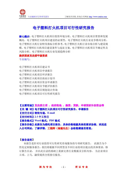 电子塑料打火机项目可行性研究报告