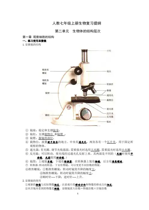 七年级上册生物第二单元总复习