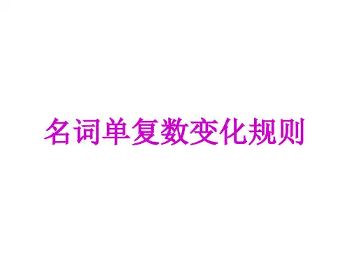 名词单复数变化规则