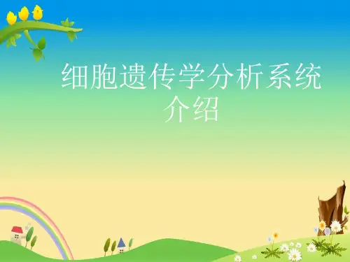 细胞遗传学知识简介
