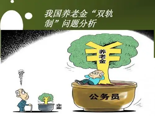 “双轨制”