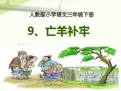 111亡羊补牢