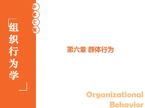 组织行为学 陈春花 06 第六章 群体行为 第3版 华南理工大学 工商管理学院