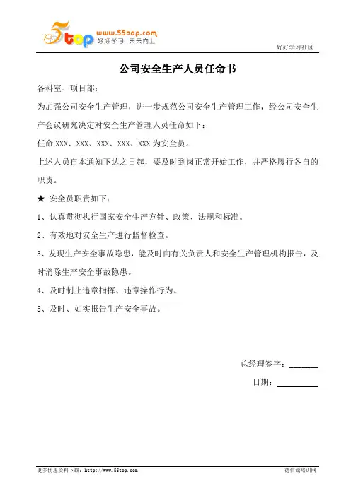公司安全生产人员任命书