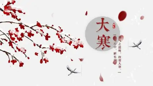 大气二十四节气之一大寒PPT模板