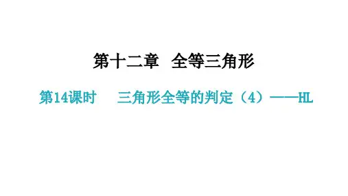 第14课时三角形全等的判定(4)——HL