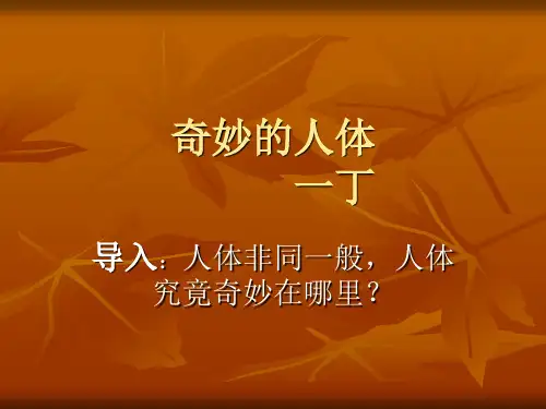《奇妙的人体》ppt课件