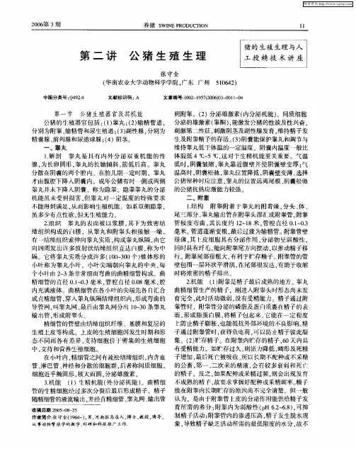 第二讲 公猪生殖生理