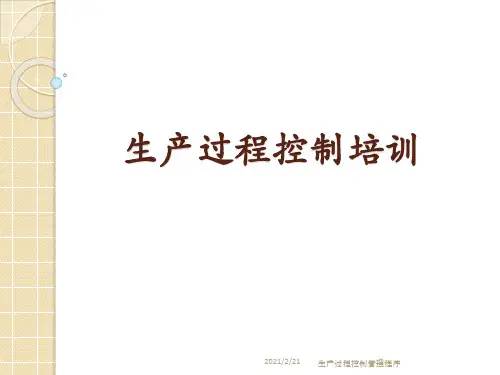 生产过程控制管理程序课件
