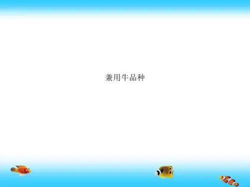 兼用牛品种