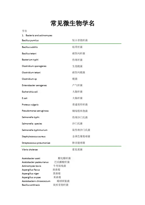微生物中英名