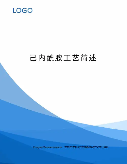 己内酰胺工艺简述