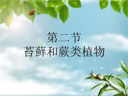 苔藓和蕨类植物