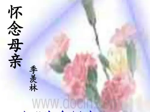 怀念母亲