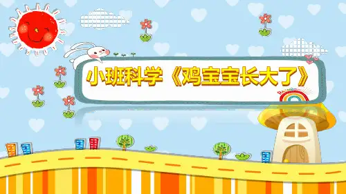 小班科学《鸡宝宝长大了》课件