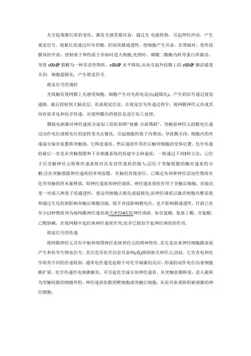视觉信号怎样产生和传递的