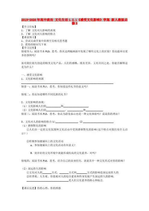 2019-2020年高中政治 文化生活1.2.1《感受文化影响》学案 新人教版必修3