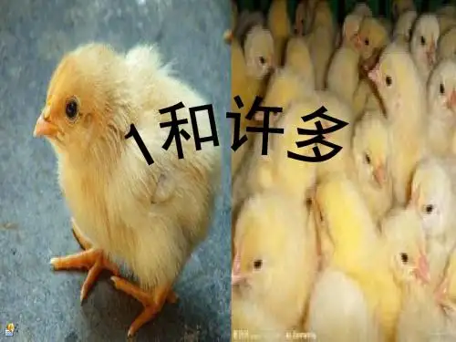 一和许多