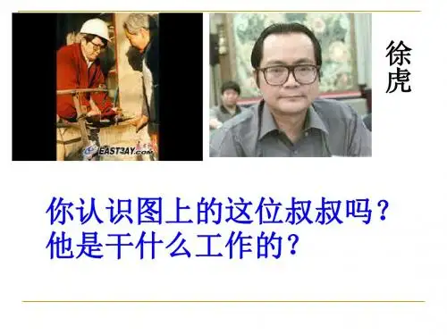 苏教版二下《闪光的金子》PPT课件