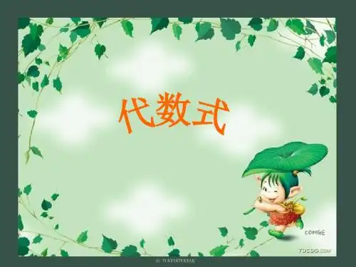 5.2.1 代数式
