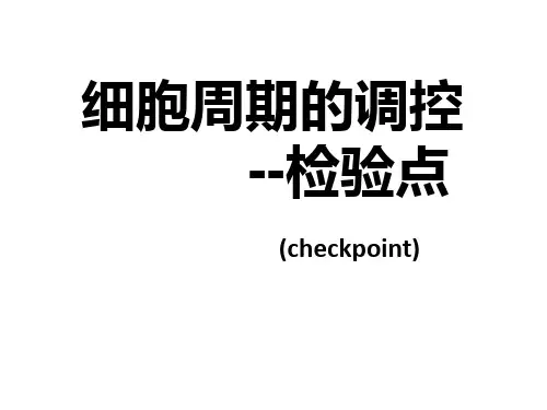 检验点