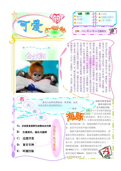 中小学电子小报模板【可任意修改编辑打印】