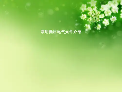 常用低压电气元件介绍优秀课件
