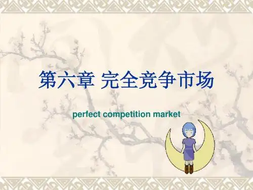 管理经济学 第六章 完全竞争市场