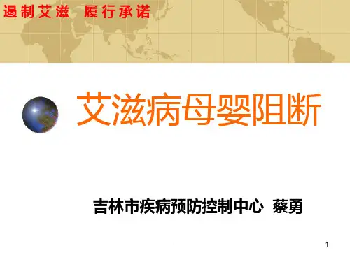 艾滋病母婴阻断PPT课件