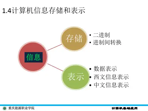 计算机中信息存储和表示资料
