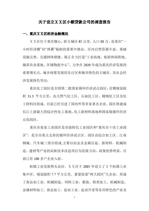 小额贷款公司的调查报告