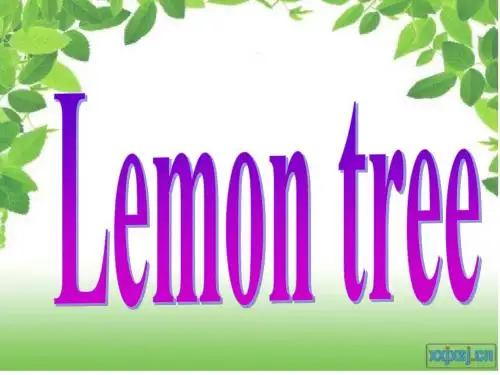 lemon_tree歌词