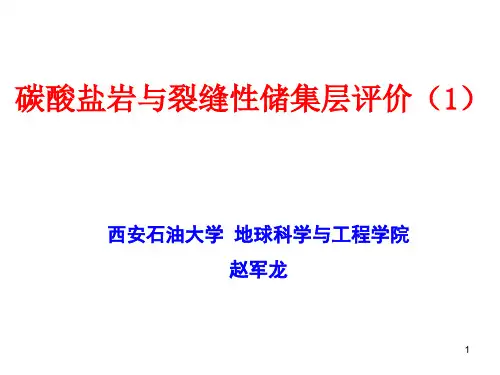碳酸盐岩与裂缝性储集层评价