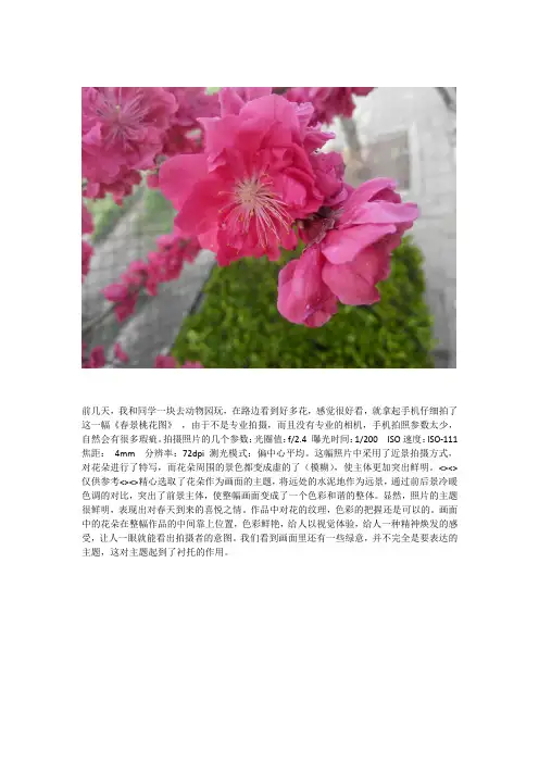 选修课《摄影理论》结课作业